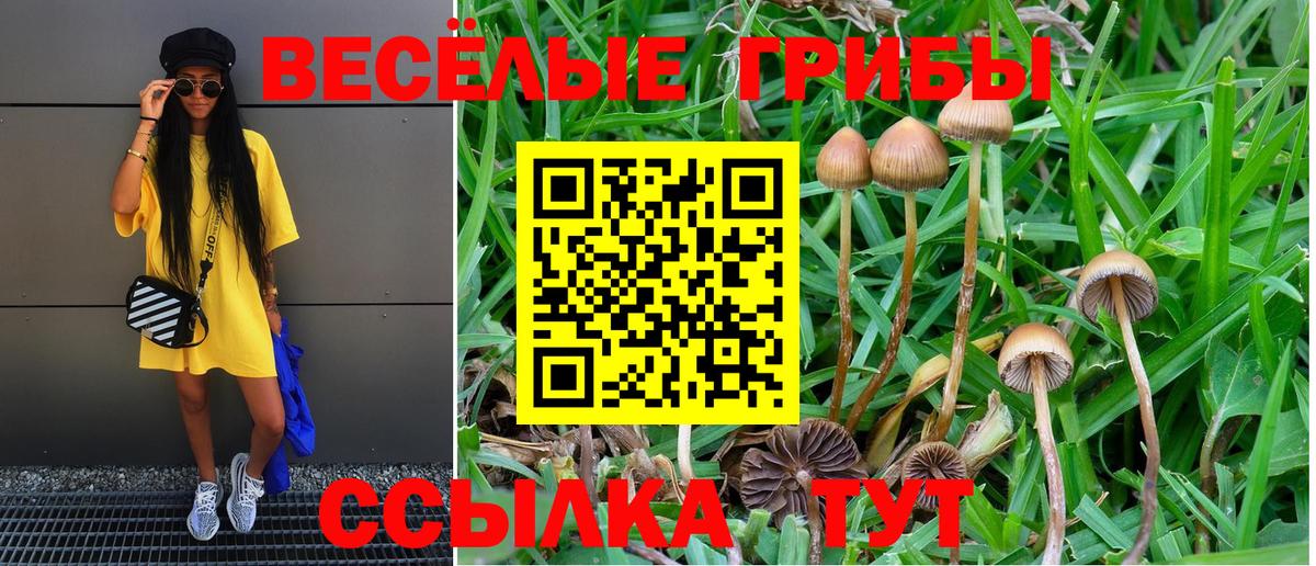 Псилоцибиновые грибы прущие грибы  Галлюциногенные грибы Cubensis  как найти закладки  Комсомольск-на-Амуре  Вход с VPN 