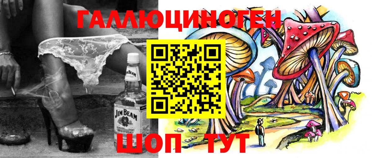 Псилоцибиновые грибы мицелий Комсомольск-на-Амуре